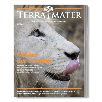 Terra Mater Magazin-Geschenkabo