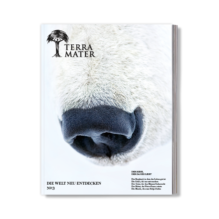 Terra Mater-Geschenkabo