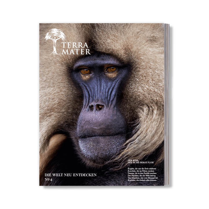 Terra Mater Geschenkabo