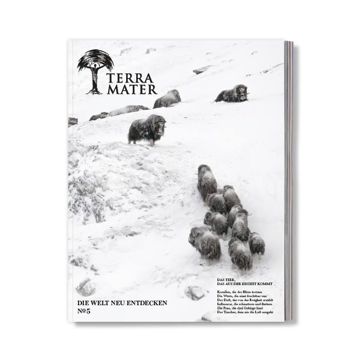 Terra Mater Abo zum Vorzugspreis