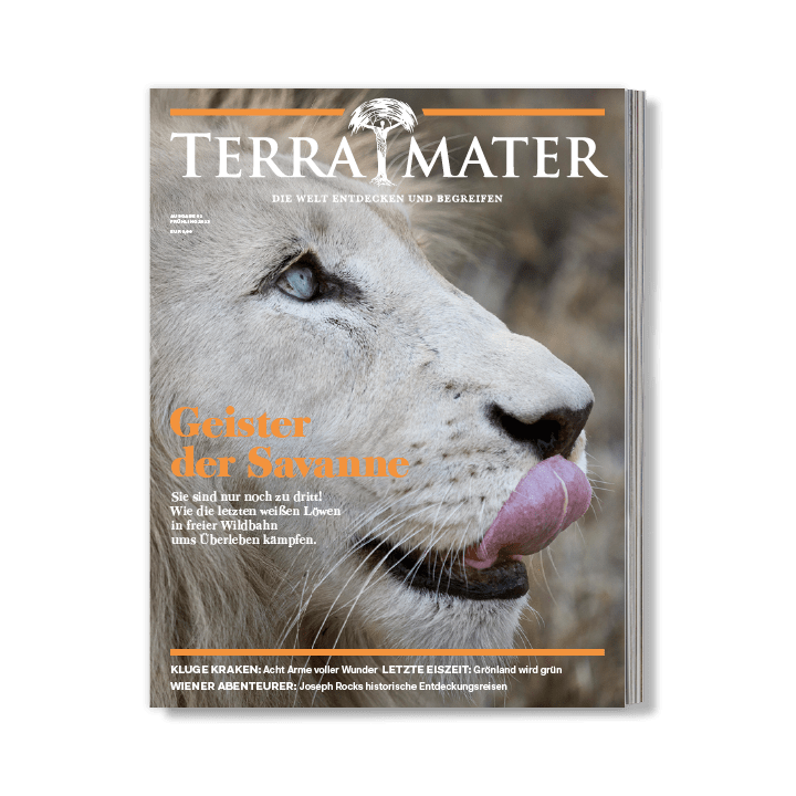 Terra Mater Magazin-Geschenkabo