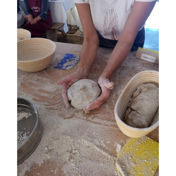 Brothandwerk: Sauerteig & Backen mit Urgetreide
