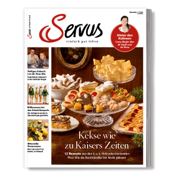 Abbildung eines Servus Covers