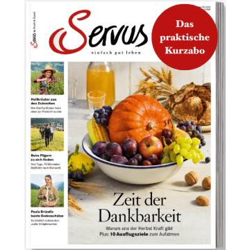 Abbildung eines Servus Covres