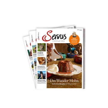 Abbildung eines Servus Covres