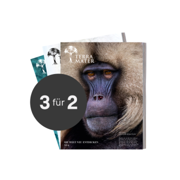 Symbolbild 3 für 2 Angebot