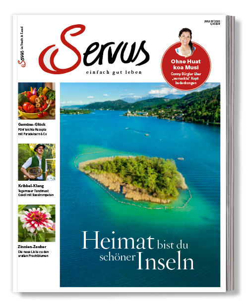 Cover vom Magazin Servus in Stadt & Land