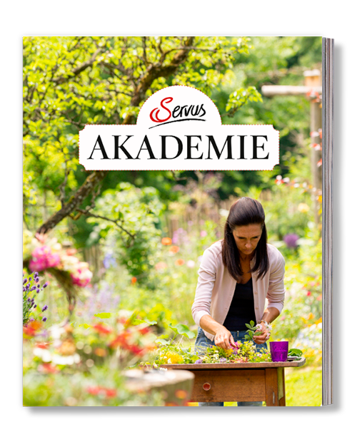 Coverbild des Katalogs von Servus Marktplatz