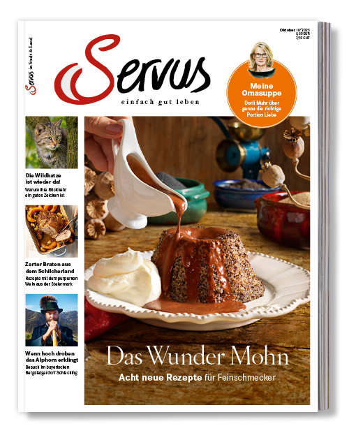 Cover vom Magazin Servus in Stadt & Land