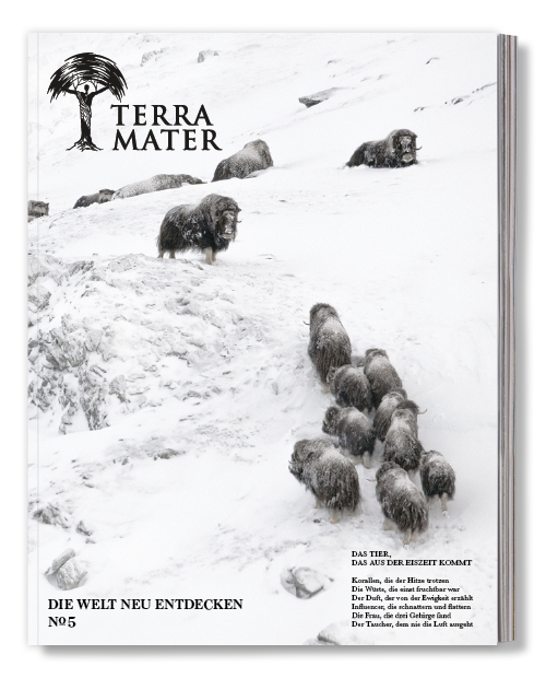 Aktuelles Cover vom Magazin Terra Mater