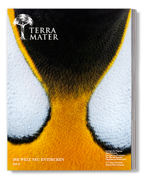 terram-mater-magazine-abo